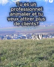 Reel : attirer plus de clients