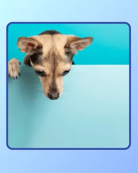 Template Instagram — astuces & conseils